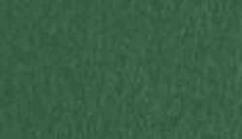 SIRIO COLOR FOGLIA 70x100 gr. 115