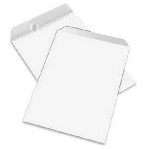 SACCO KRAFT BIANCO 25x31 gr. 80 STRIP SENZA INTERNOGRAF.