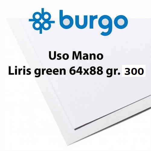 USO MANO LIRIS GREEN 64x88 gr. 300